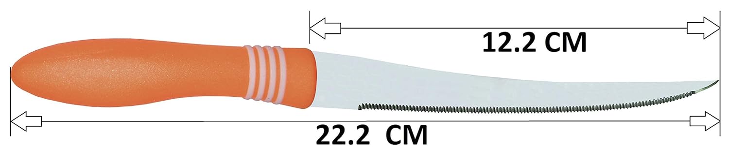 2 Pcs Concord Stainless Steel Kitchen Knife ? Multipurpose Table Knife with Serrated Edge, 12 cm (Random color)