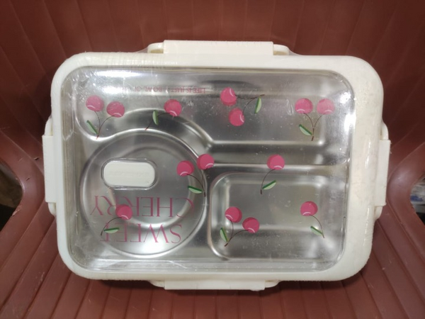 Rectangular Lunchbox with a clear lid | Lunch Box for Children, Kids and Adult | Portable Picnic Storage | School Student Food Container