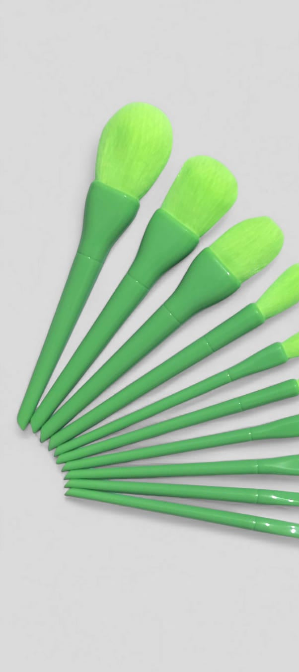 10 Pcs Professional Makeup Brush Set ? Face, Eyes &amp; Lips | Concealer, Blush, Eyeshadow, Highlighter | Orange &amp; Green Colors