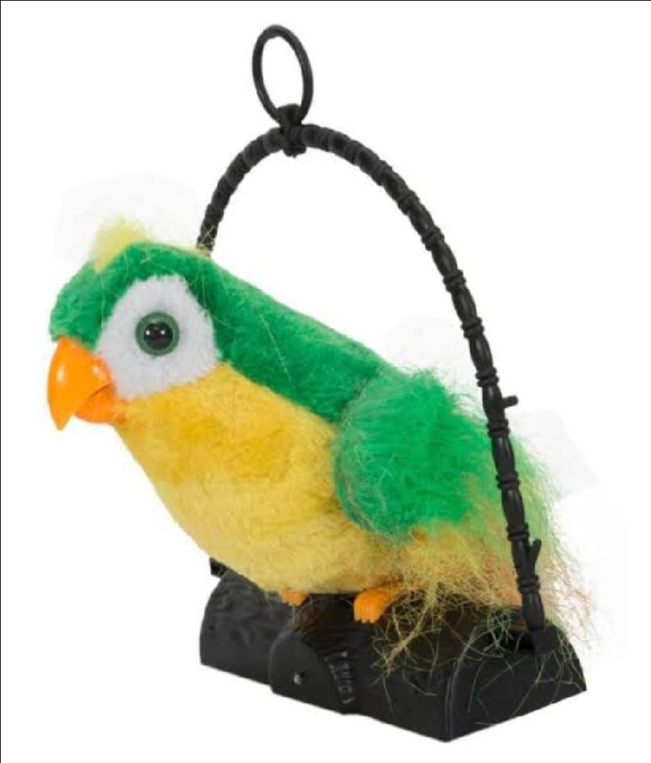 Talk Back Talking Parrot Toy ? Repeats Speech, Educational &amp; Fun for Kids