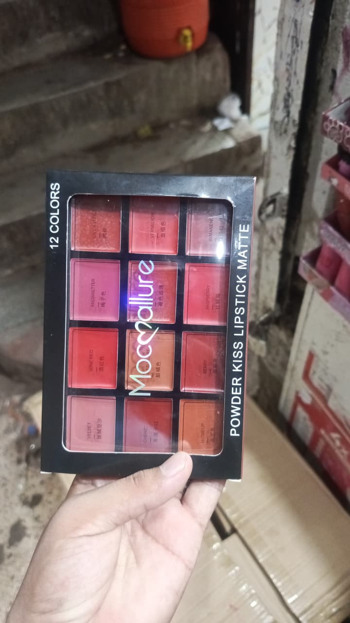 Mocallure 12-Color Lip Palette / Long-Lasting Professional Lip Kit for Every Mood