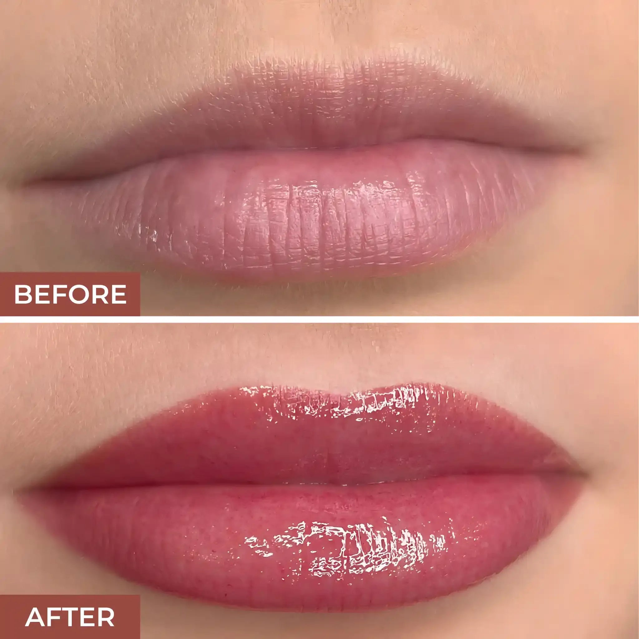 Cute Multipurpose Glitter Lip Gloss  Eyeshadow, Pack of 6 ? Glossy Finish, High Pigmented, Multicolor