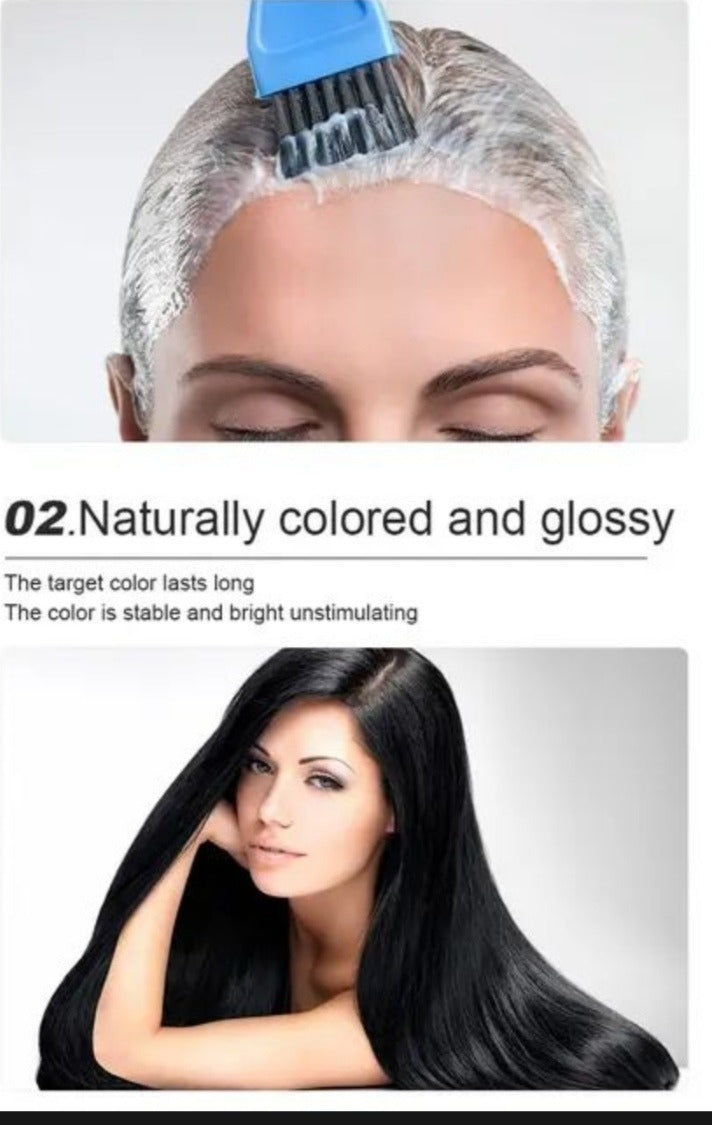 Ecosystem Fruit Vinegar Hair Color Gel Dye ? Nourishing, Long-Lasting Hair Color with Natural Shine ? All Hair Types