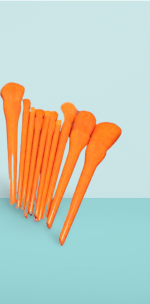10 Pcs Professional Makeup Brush Set ? Face, Eyes &amp; Lips | Concealer, Blush, Eyeshadow, Highlighter | Orange &amp; Green Colors