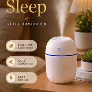 Mini Silent Humidifier - USB Aroma Diffuser